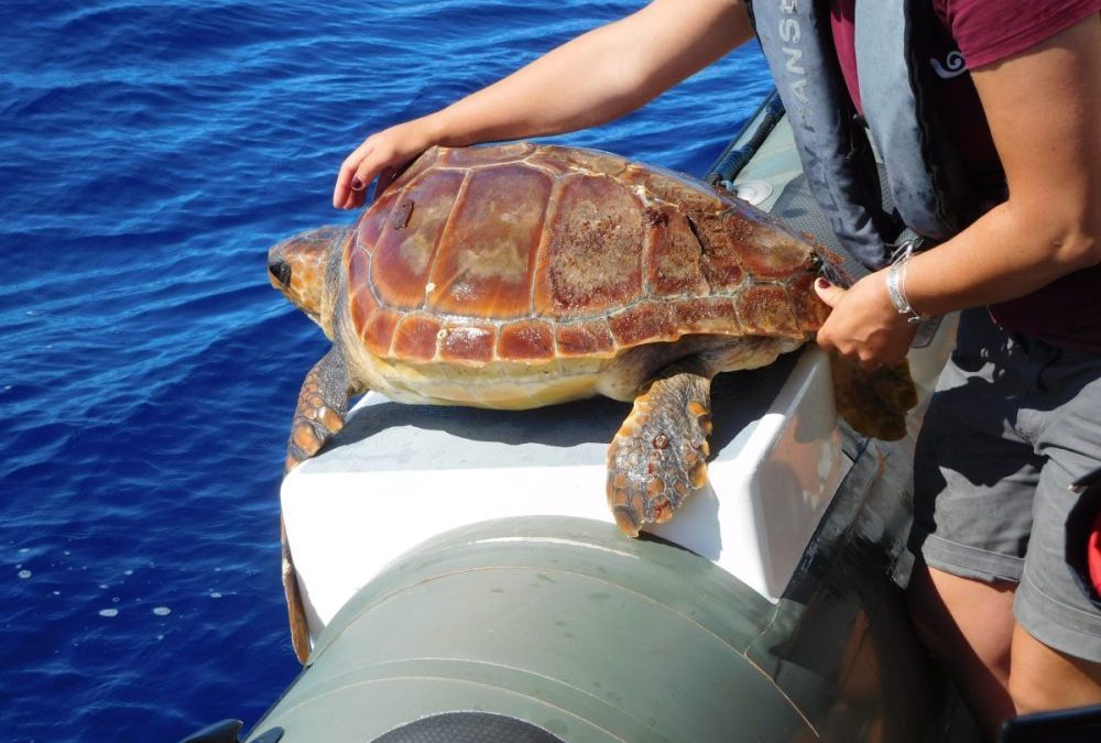 Sommer Urlaub? Glücklichsein