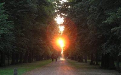 Gesundheit im Herbst