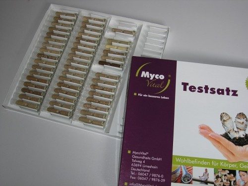 Heilen mit chinesischen Heilpilzen